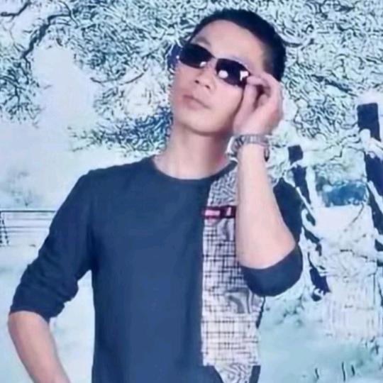 沃德200轮式