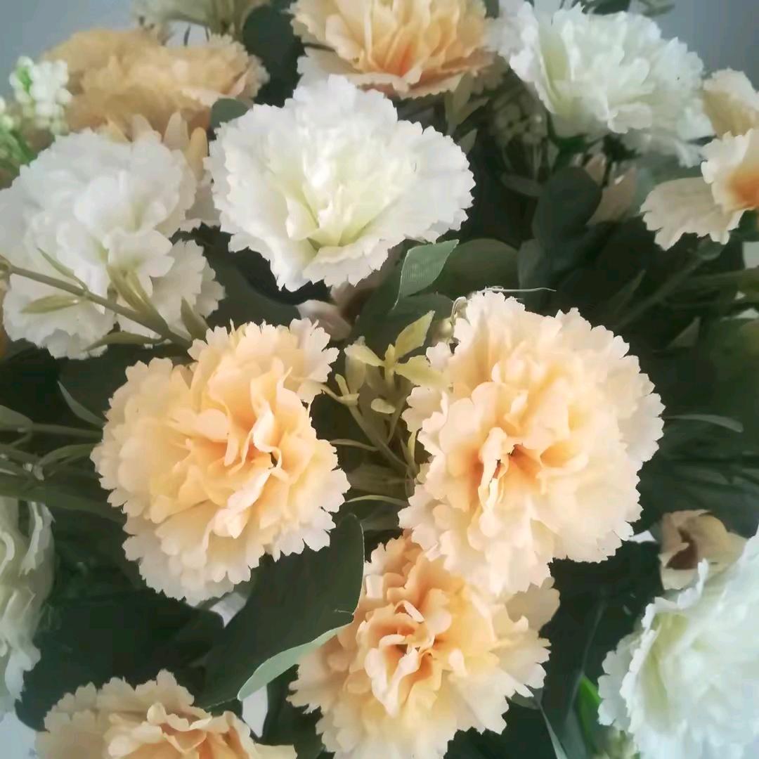 |我心随缘