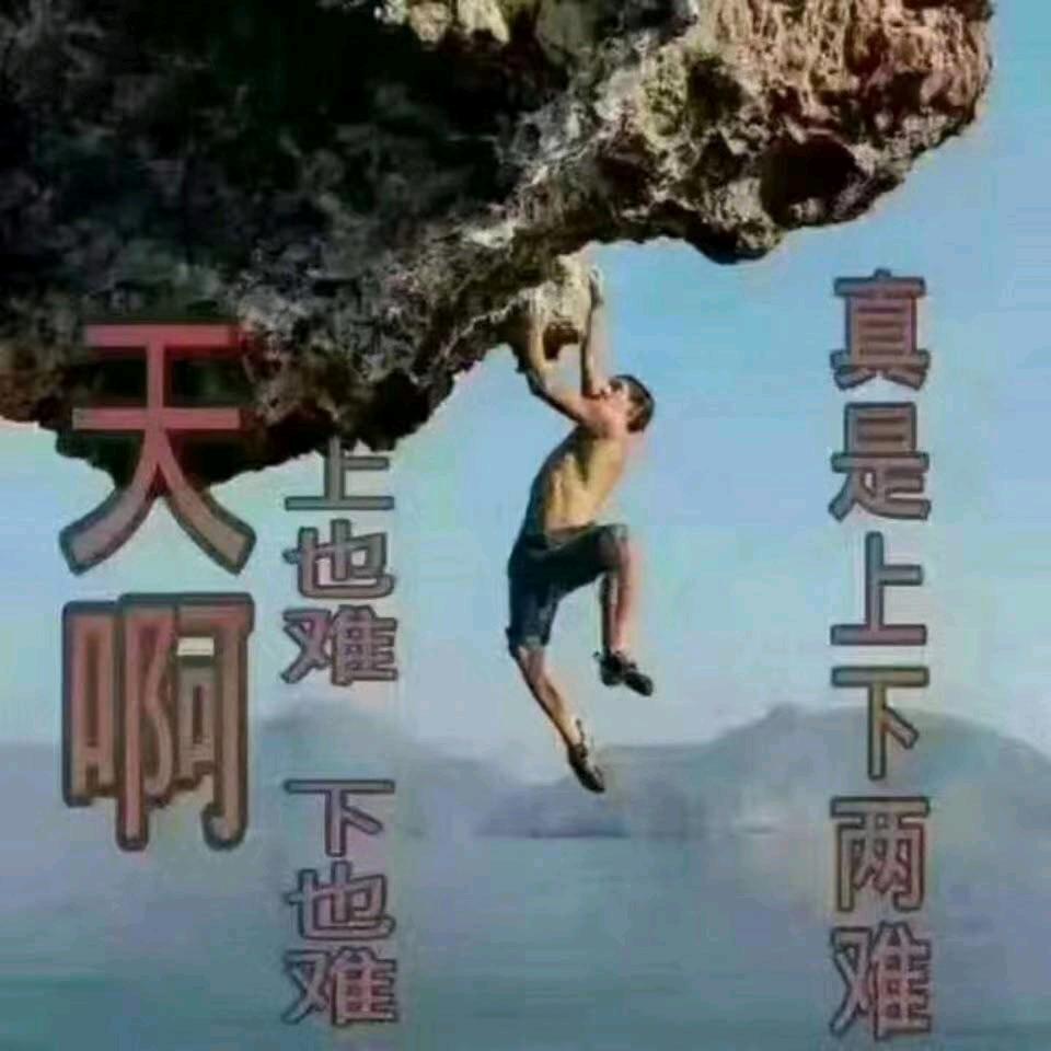 :缘来是你