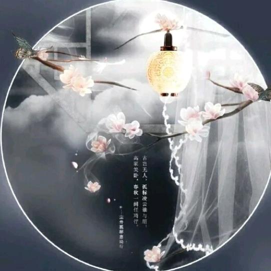 坚强的女人