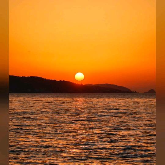 岳内人咫尺天涯一束光