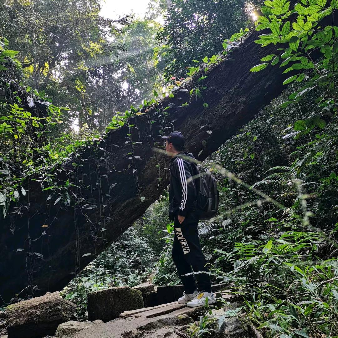 🔥William 卢🧜‍♂️