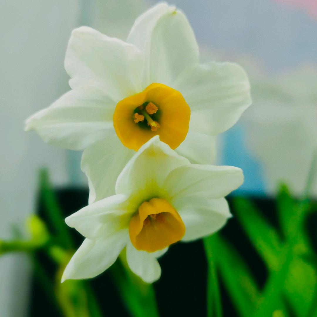 一缕阳光