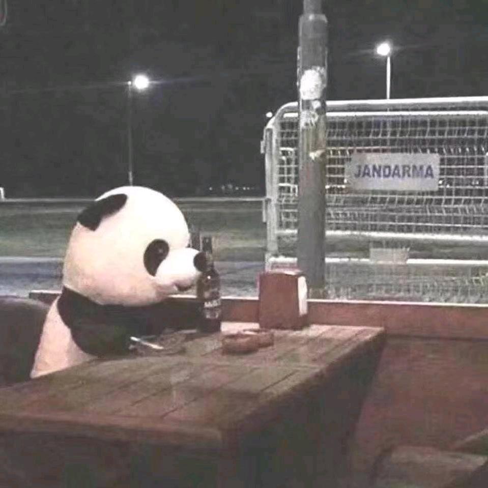 茶非g
