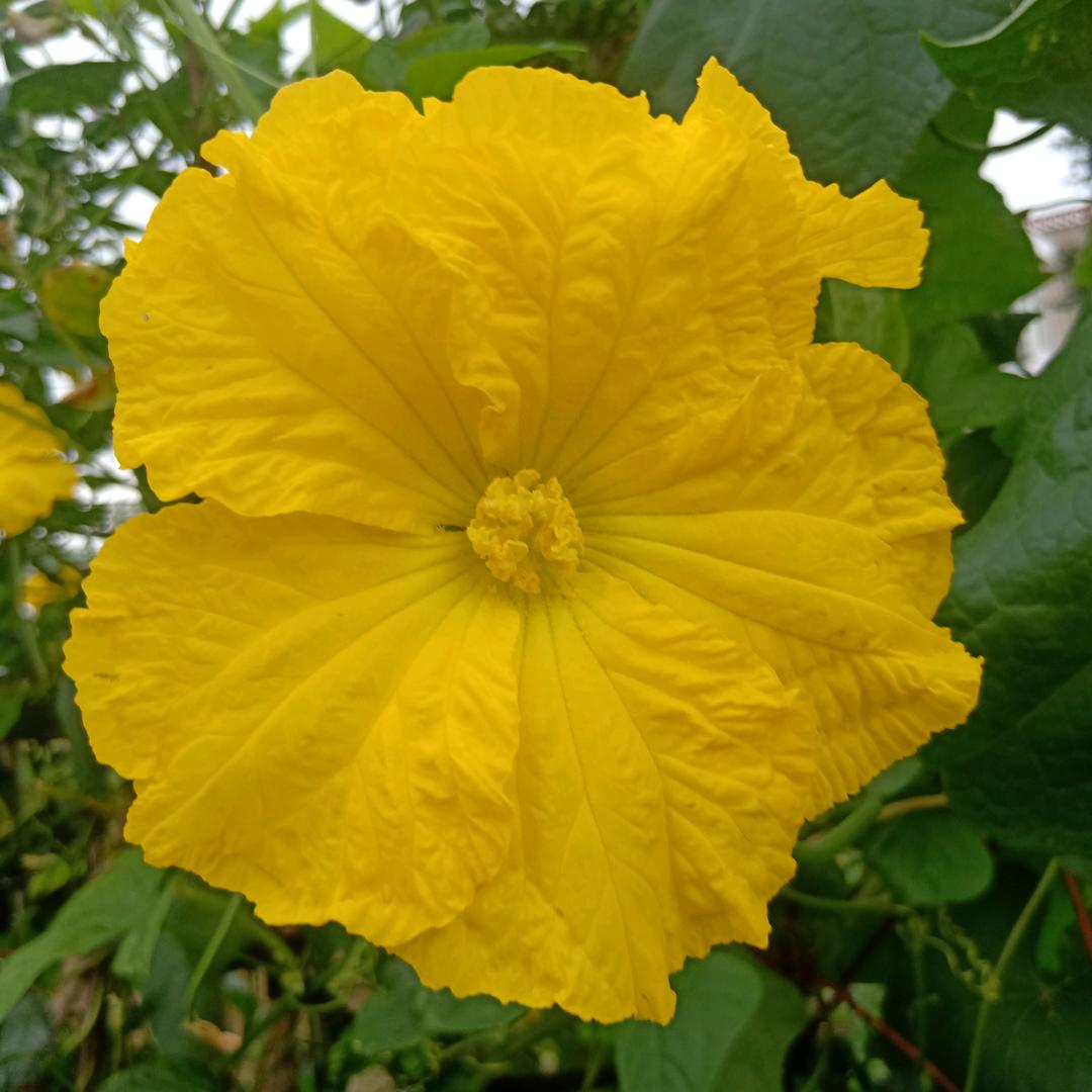 平安喜乐🌈🇨🇳