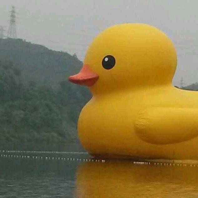 大黄鸭