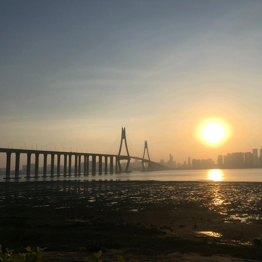 湛江-海钓-罗仔