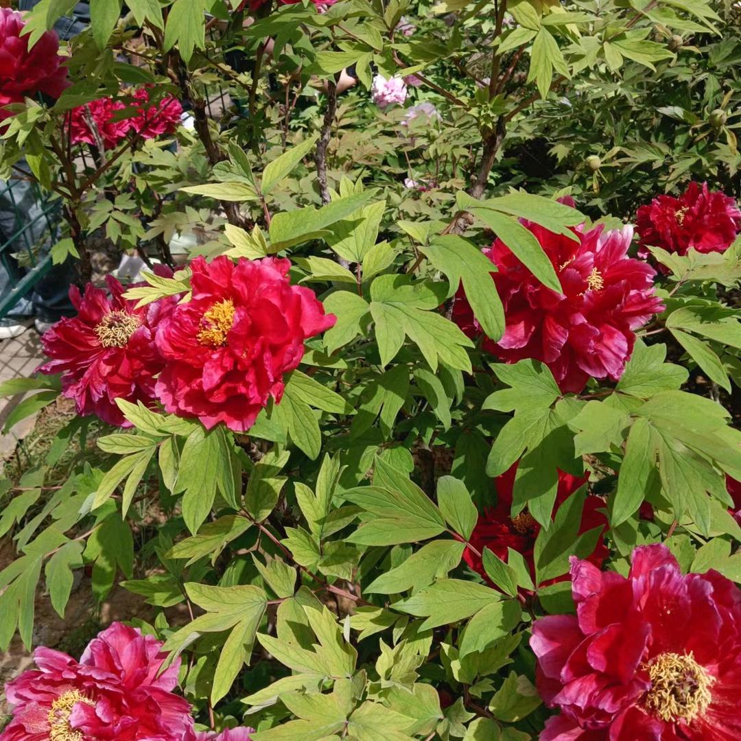 幸福开心每一天