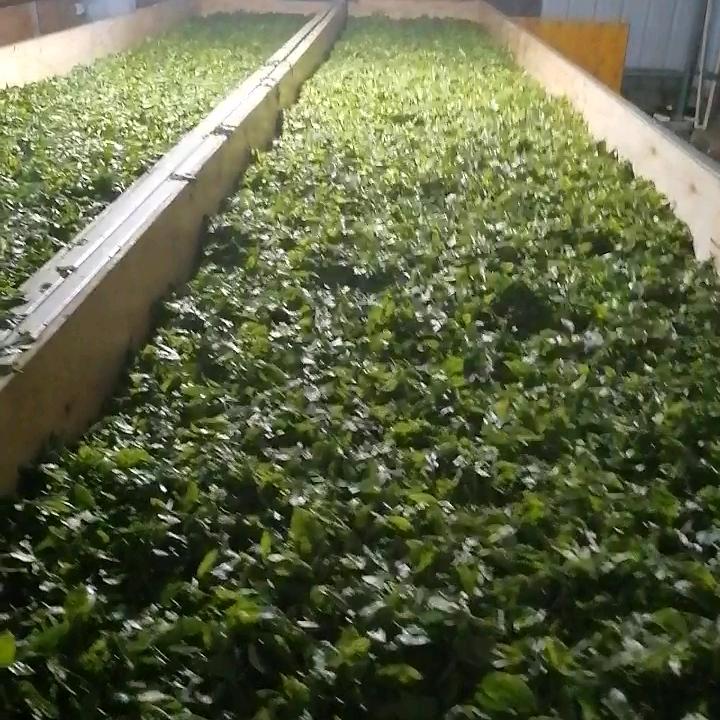 35的未婚感兴趣的私信25年9月充闯逆行