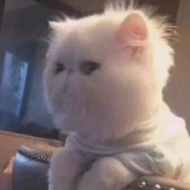 封爱