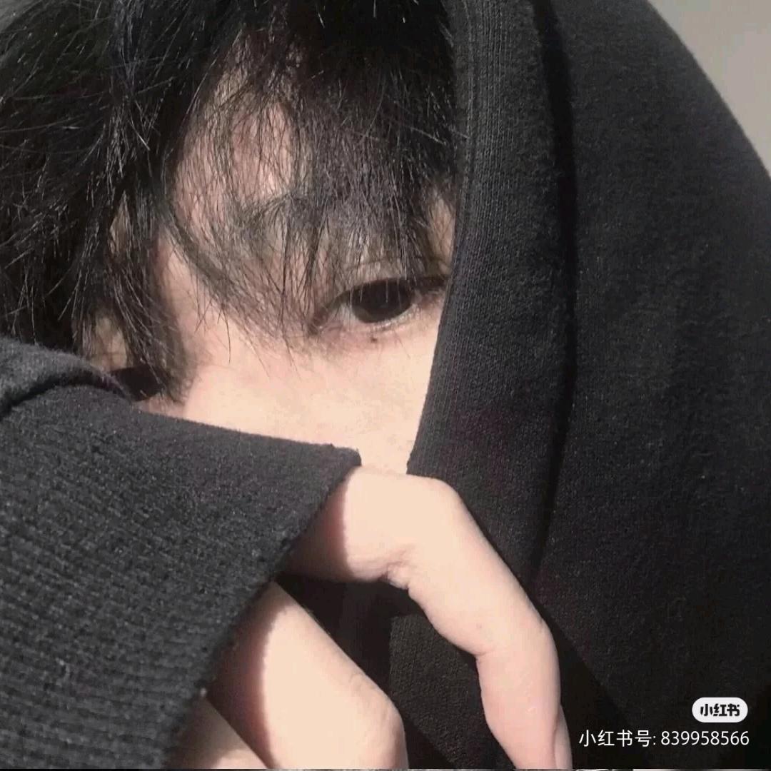 诺西西