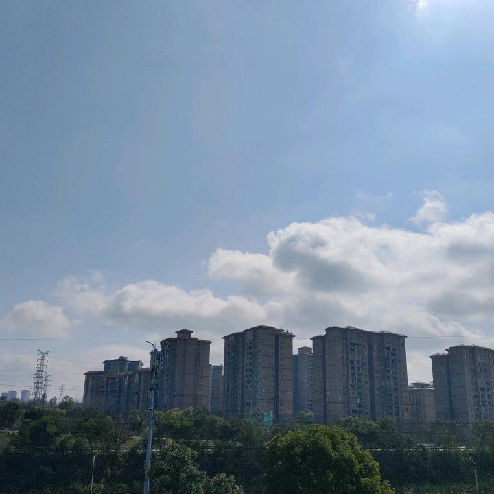 小鱼儿