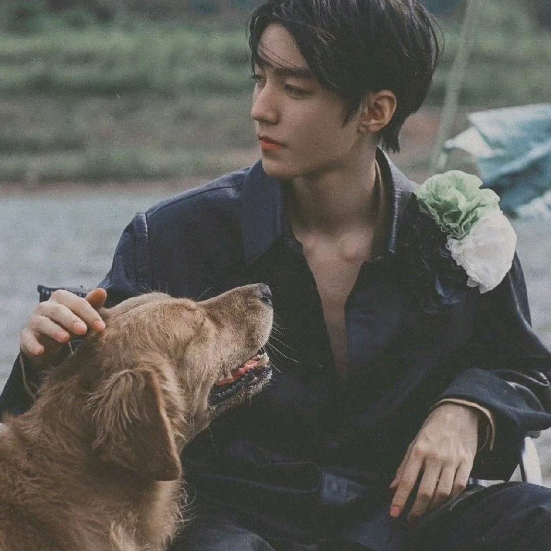 你挡到我发光了🌷