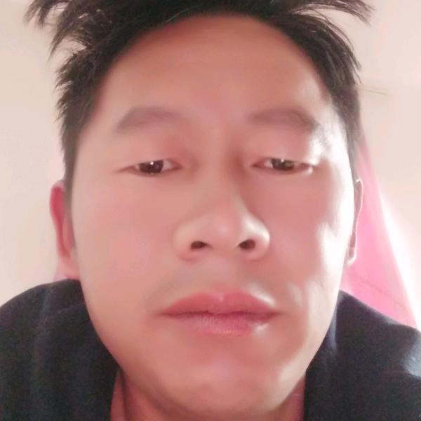 春风十里。不如认识你