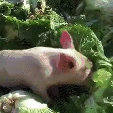 懂你（一个人的世界）