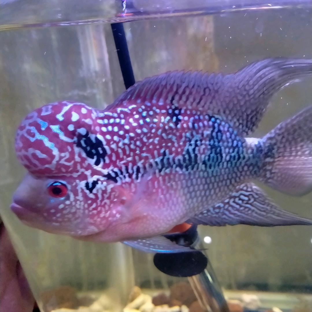 意想不到