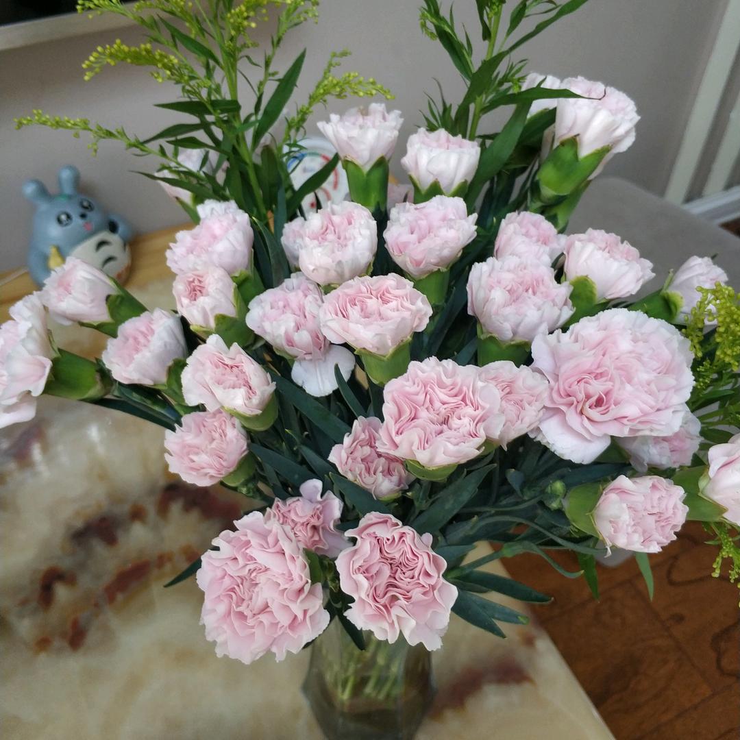 💞꧔ꦿ᭄何情何李໑ຼ₀₂₃💕