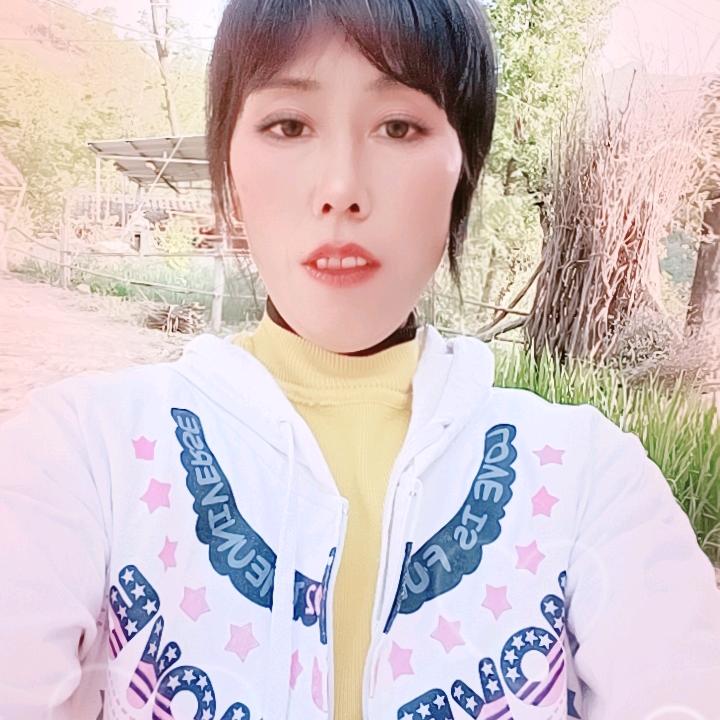 何秀莲