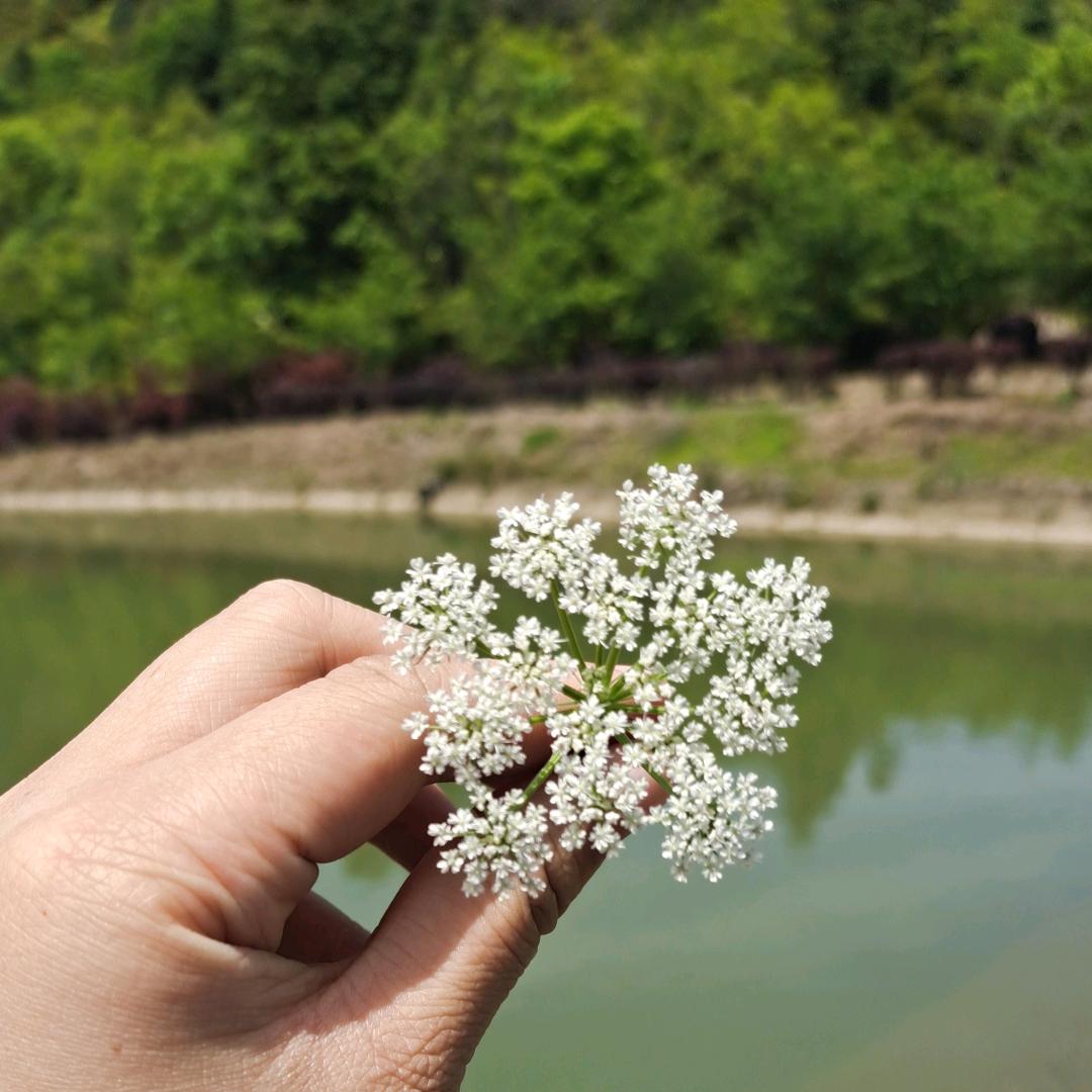 梅林百吉服装店