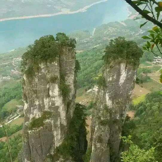 涛哥