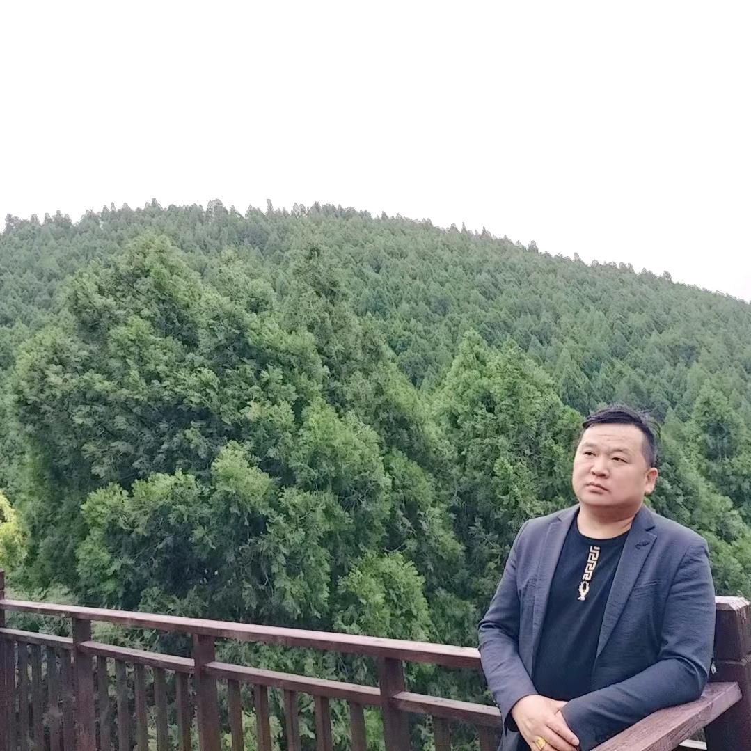 聪明的傻子