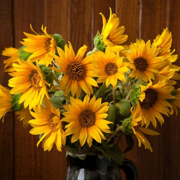 回头想一想吧。