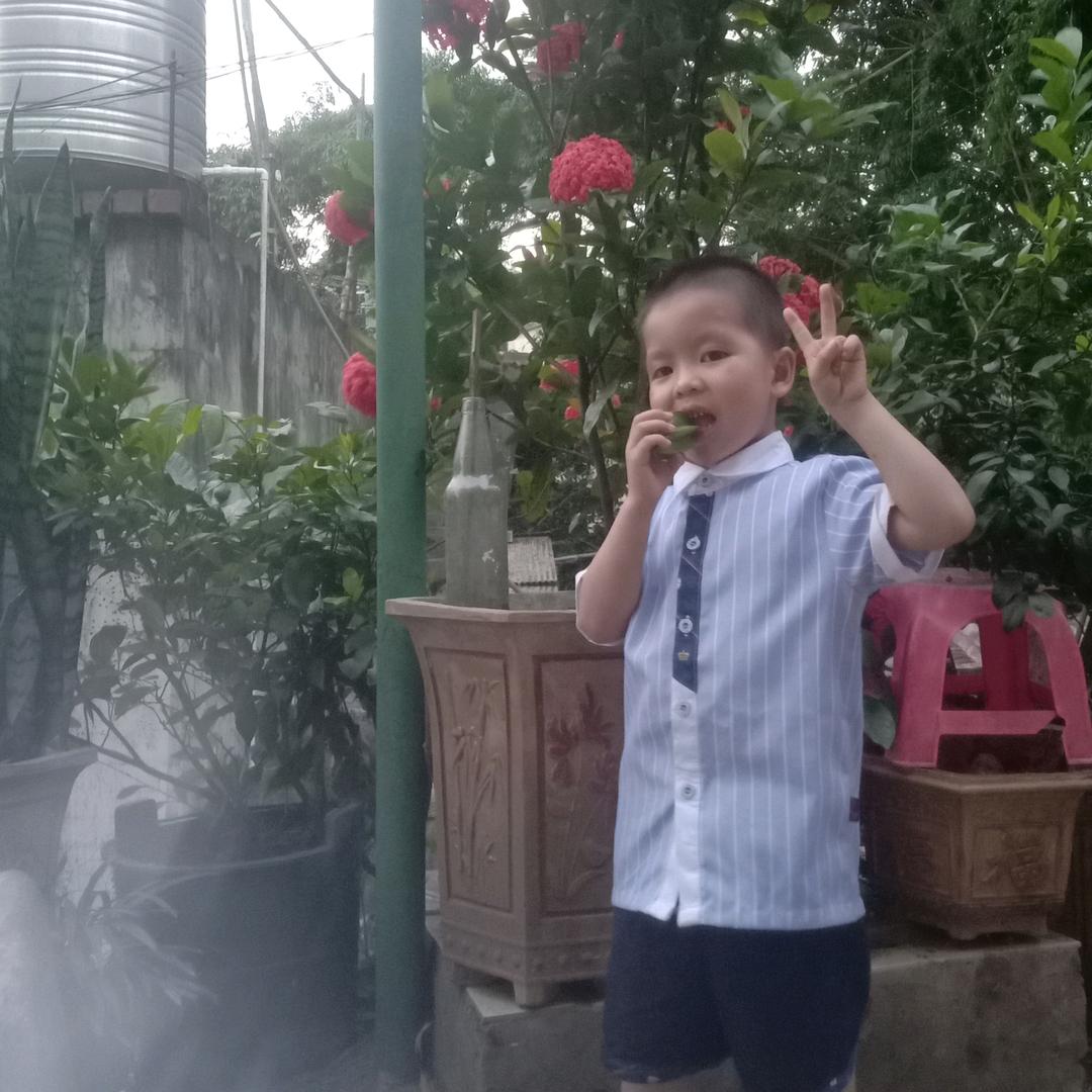 一凡风顺
