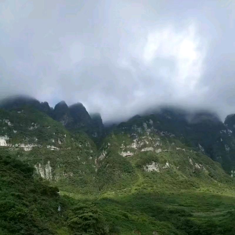 向阳