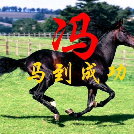 尽野