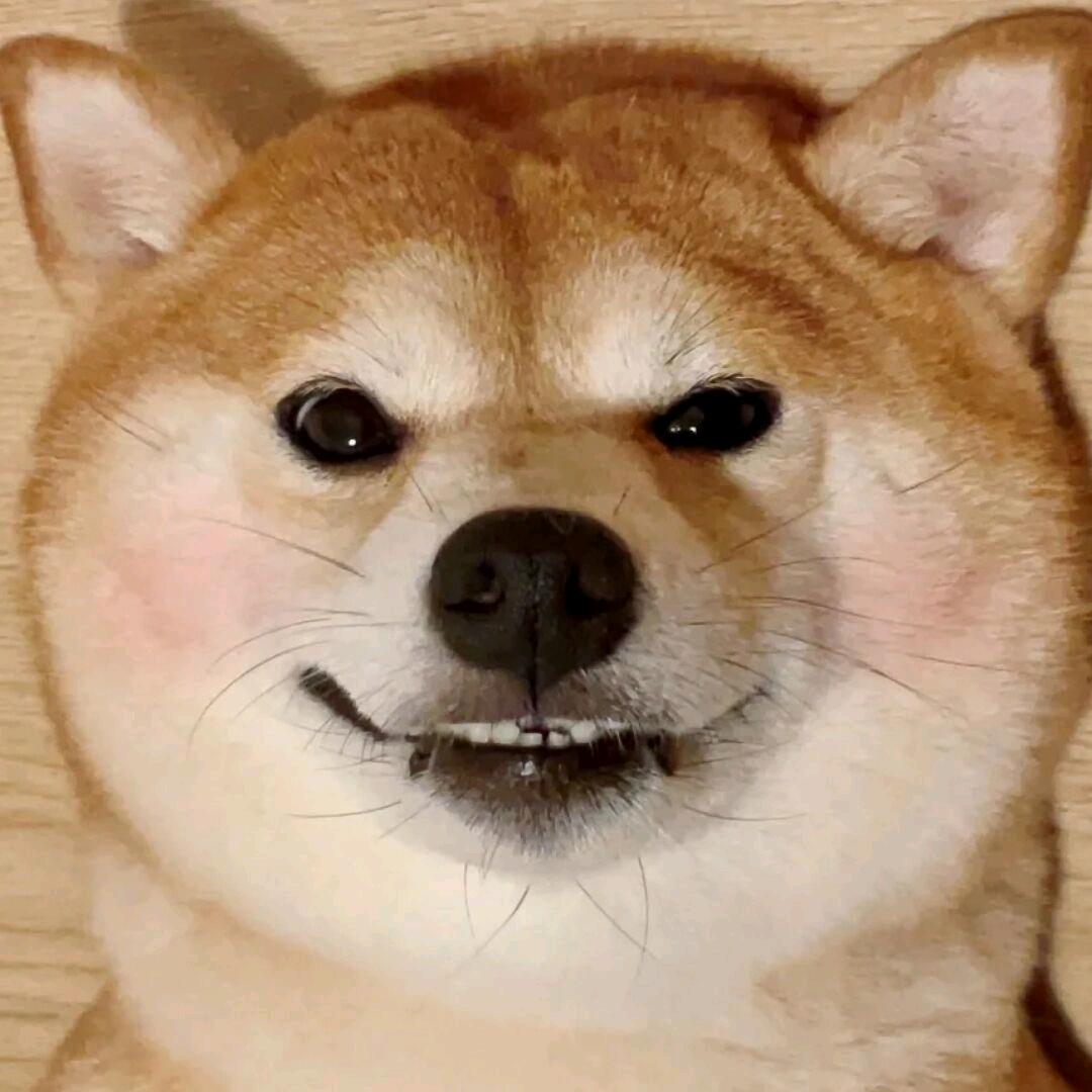墨兮
