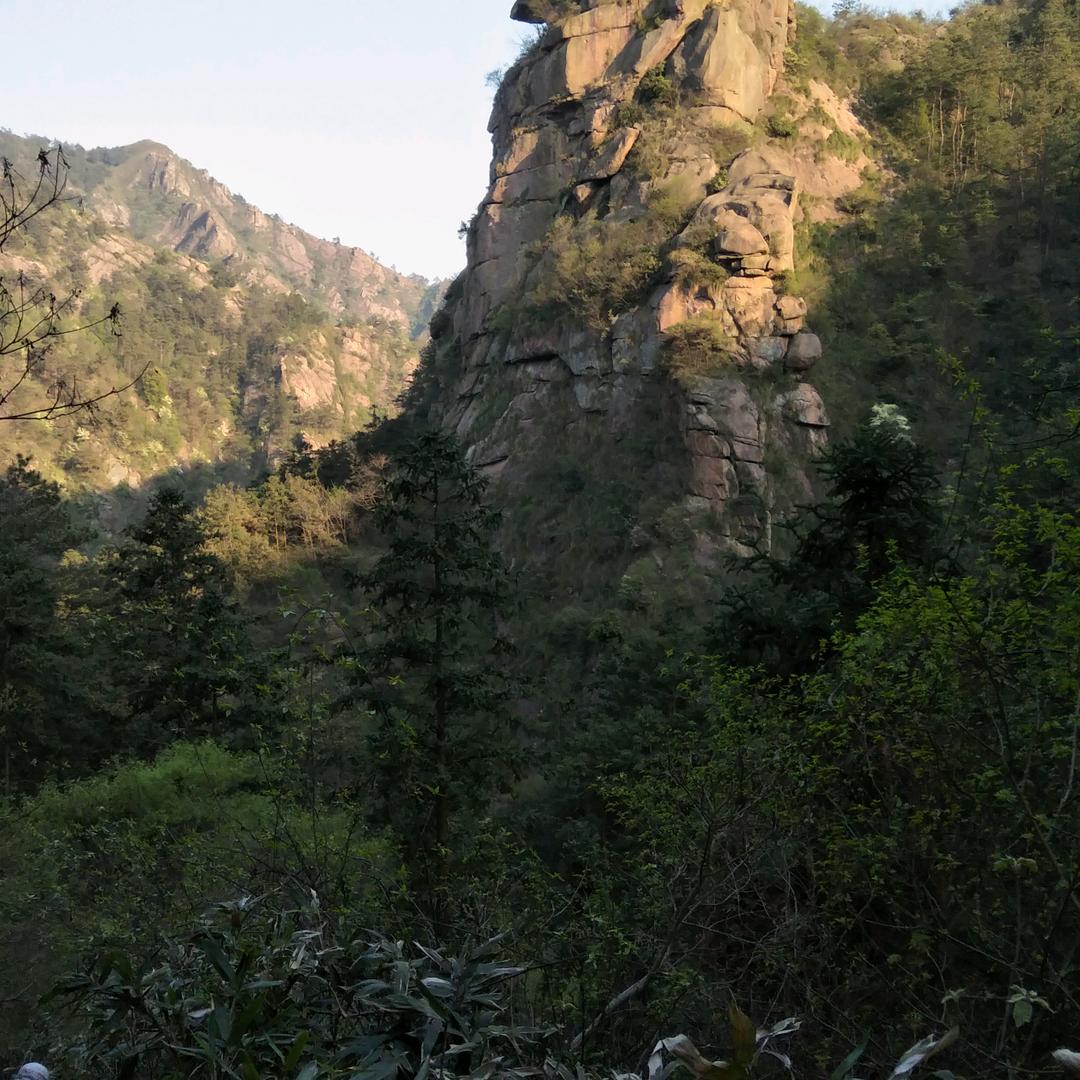 无语