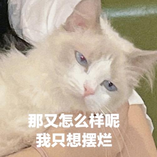 一臭剪狗的