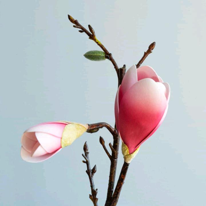 你若安好，便是晴天