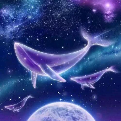 清蝡头像