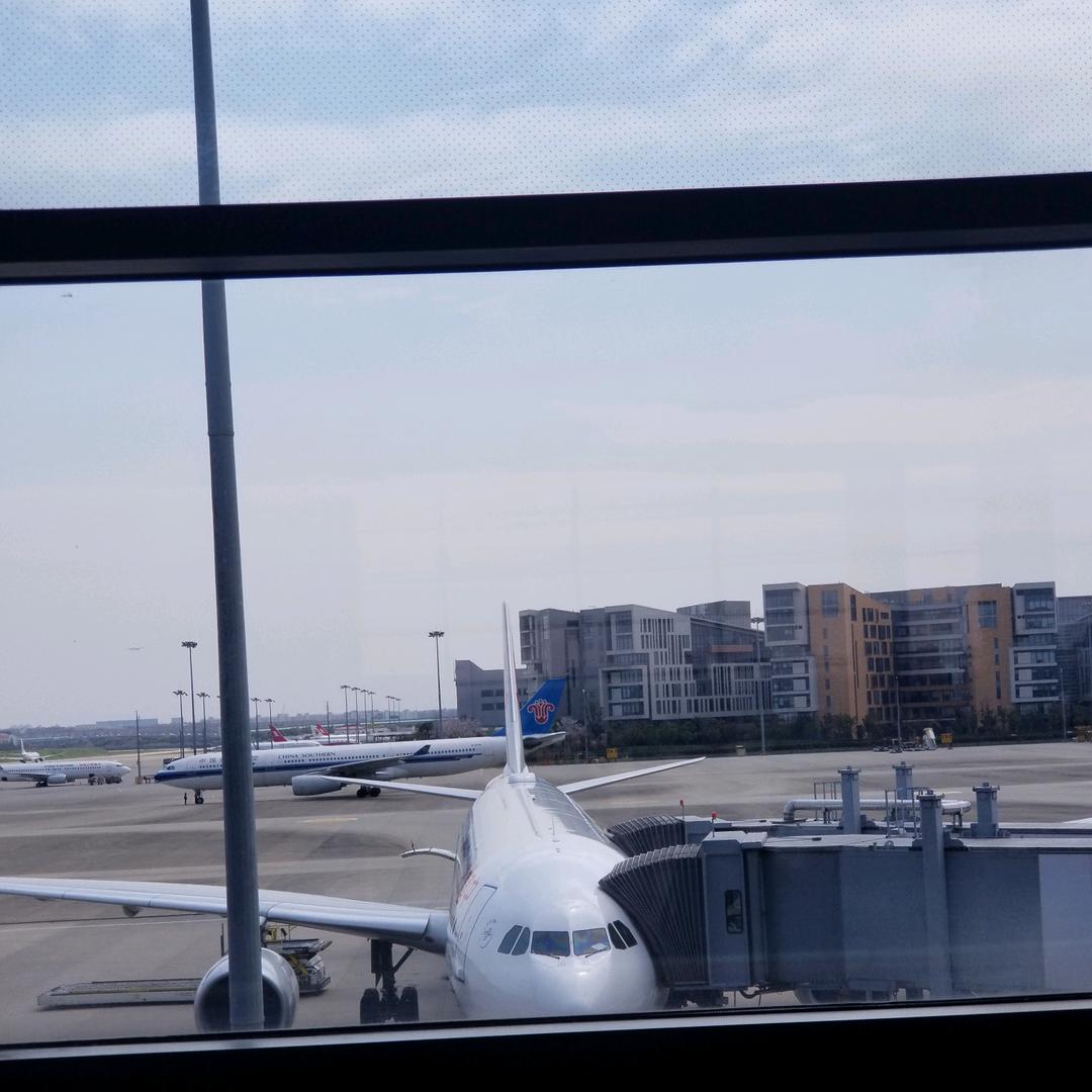 只为博君一笑之