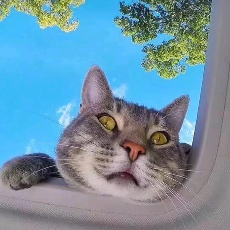 为什么要我改名字