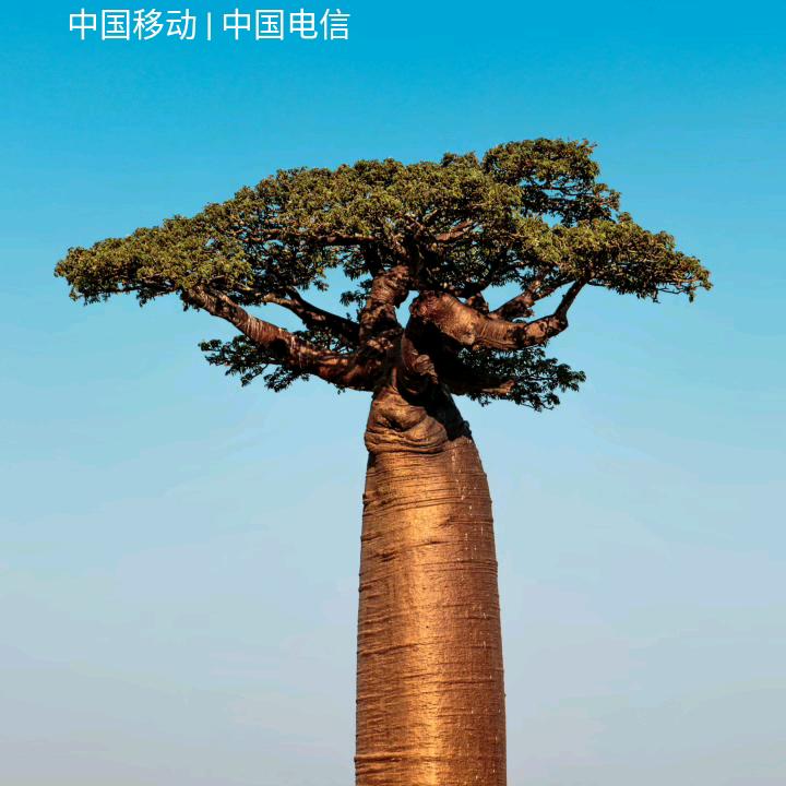 英子