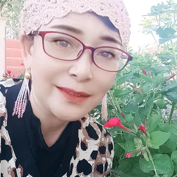 怀念🌺