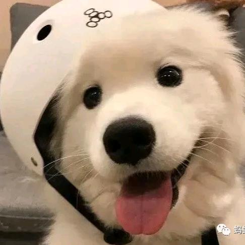 💫尐情绪