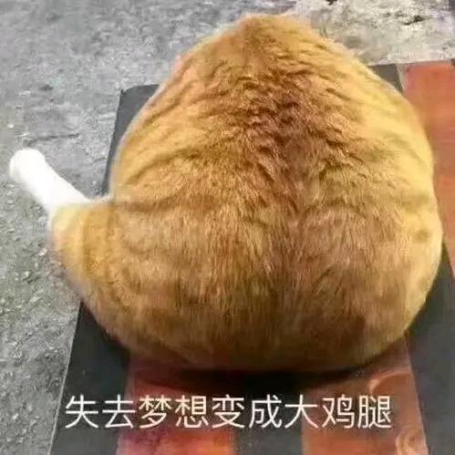 失去梦想的阿师