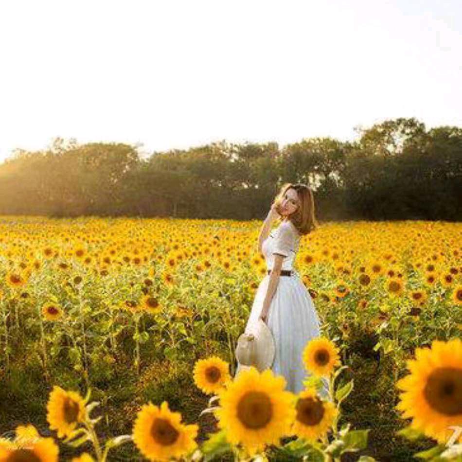 夏 天