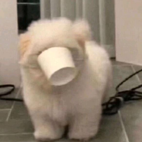 R%G