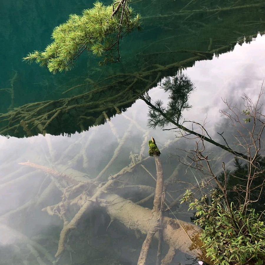 用户8822182937287讨厌鬼