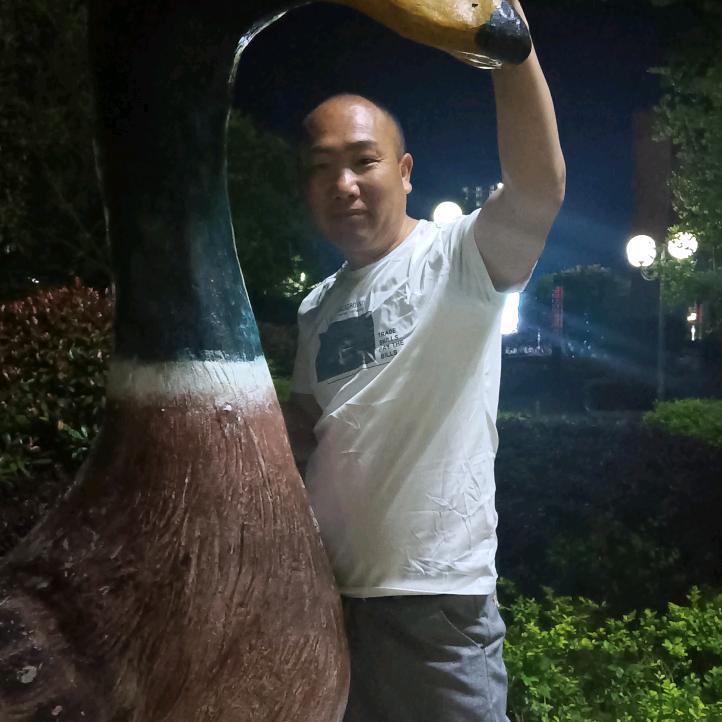 老杨装修