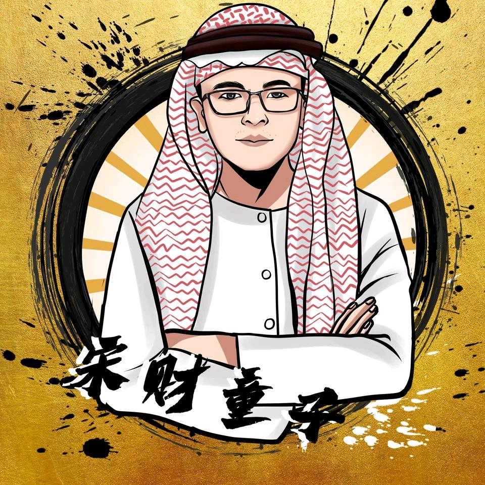 💰宋有财兮💰