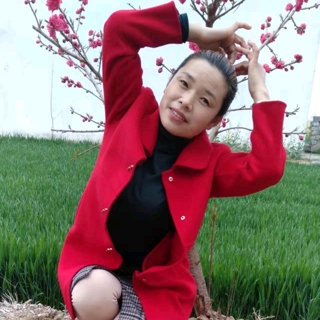 听风念故人