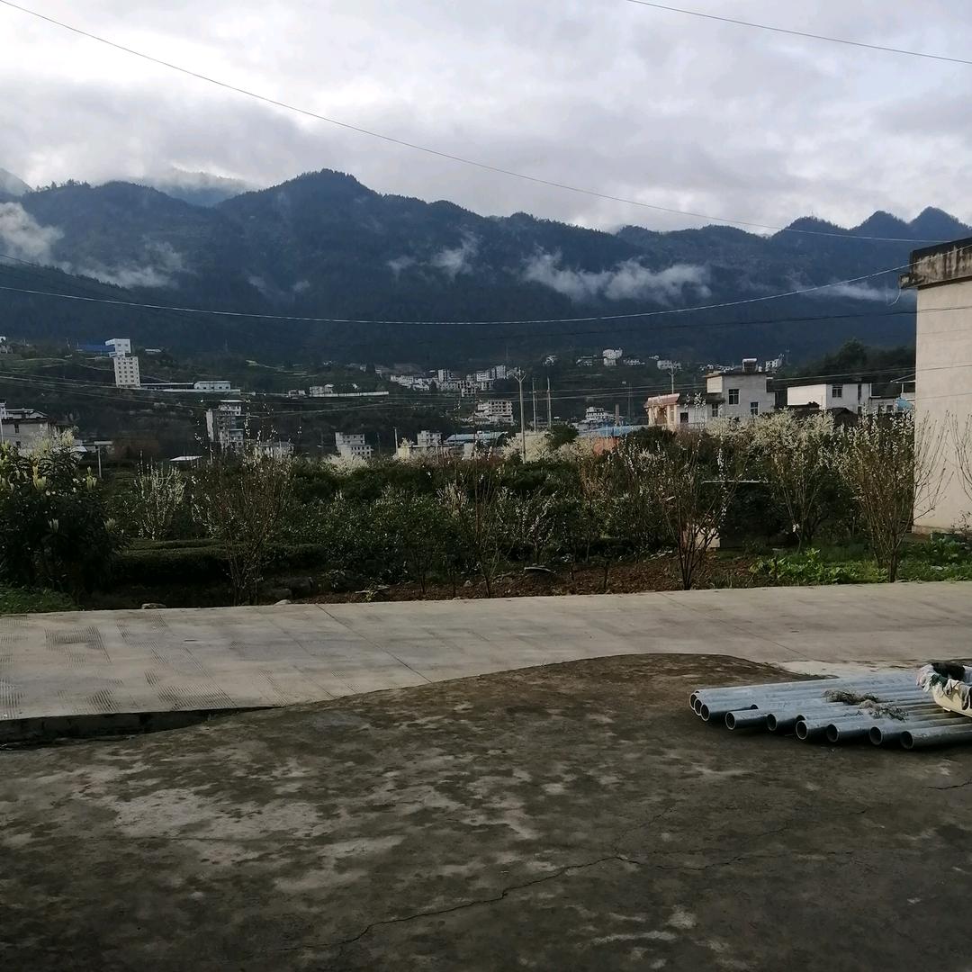 知华生活