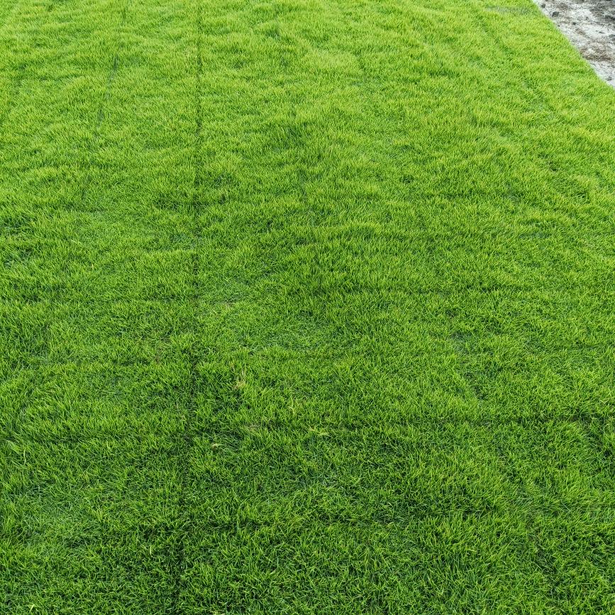 句容市泓泽园艺有限公司