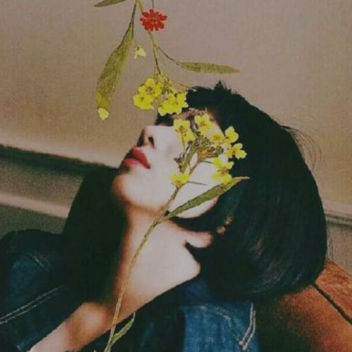 好运果果🍀