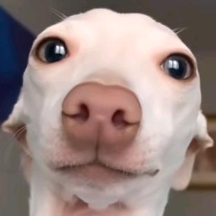 👁👁